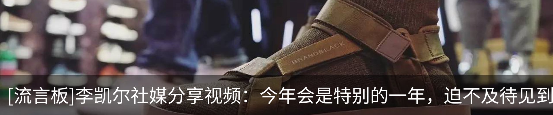 最新动态